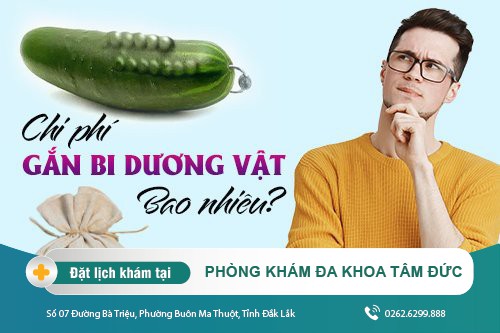 Chi phí gắn bi dương vật bao nhiêu, cập nhật thông tin tại đây