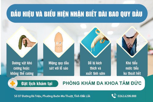 Làm sao để biết bao quy đầu dài? Bao quy đầu dài có nguy hiểm không?