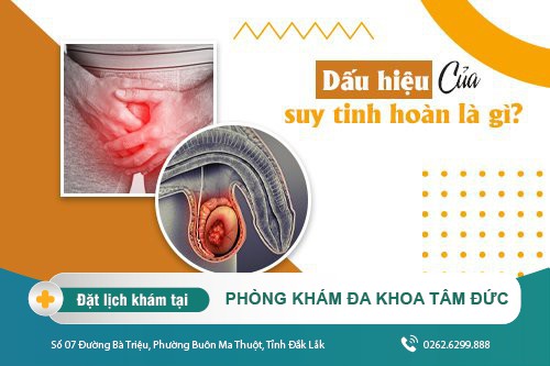 Suy tinh hoàn và những điều cần biết khi nam giới mắc phải bệnh lý