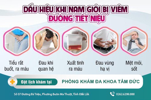 Viêm đường tiết niệu nam có dấu hiệu gì? Chữa bằng cách nào hiệu quả?
