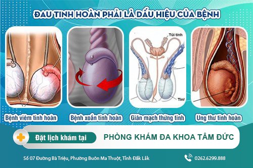 Nam giới bị đau tức tinh hoàn phải nguyên nhân do đâu?