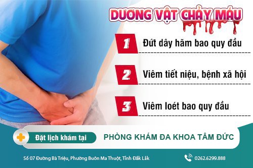 Chảy máu dương vật có nguy hiểm không? Cách điều trị chảy máu dương vật