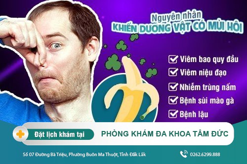 Dương vật có mùi - nguyên nhân và cách điều trị hiệu quả