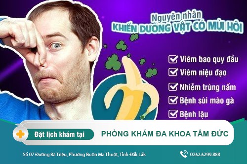 Dương vật có mùi hôi nguyên nhân do đâu? cách loại bỏ nhanh chóng