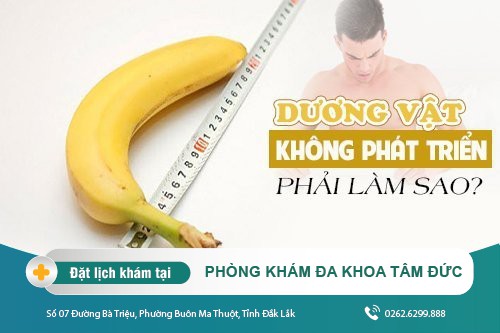 Dương vật không phát triển phải làm sao để khắc phục?