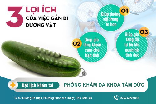 Có nên gắn bi dương vật? Tác dụng khi gắn bi dương vật