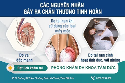 Chấn thương tinh hoàn là gì? Phải làm sao để khắc phục?