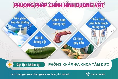 Các Phương Pháp Chỉnh Hình Dương Vật